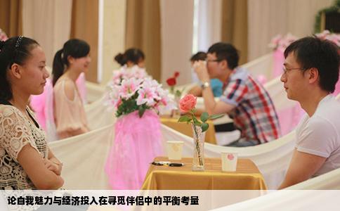 论自我魅力与经济投入在寻觅伴侣中的平衡考量