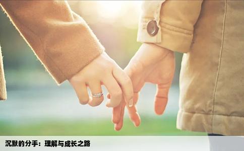 沉默的分手：理解与成长之路