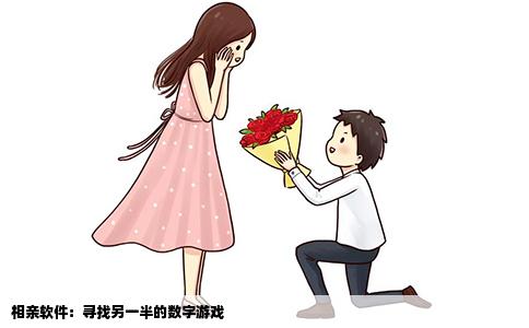 相亲软件：寻找另一半的数字游戏