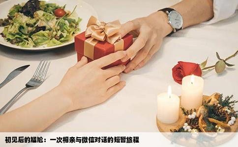 初见后的尴尬：一次相亲与微信对话的短暂旅程