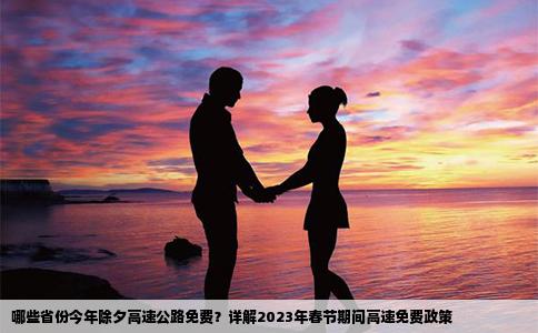 哪些省份今年除夕高速公路免费？详解2023年春节期间高速免费政策