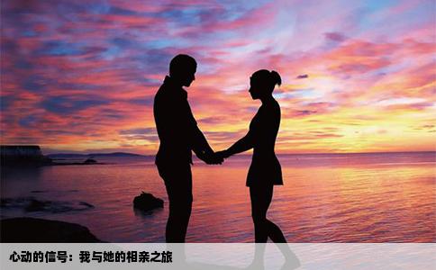 心动的信号：我与她的相亲之旅