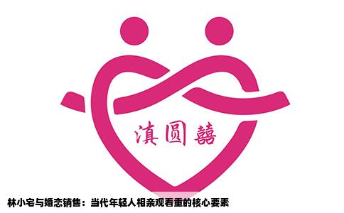 林小宅与婚恋销售：当代年轻人相亲观看重的核心要素