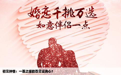 初见钟情：一面之缘能否见证真心？