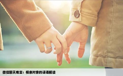 微信聊天难言：相亲对象的话语解读