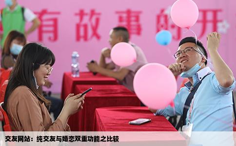 交友网站：纯交友与婚恋双重功能之比较