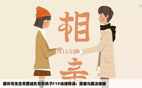 解析花生壳免费域名灰灰鸽子FTP连接错误：排查与解决策略