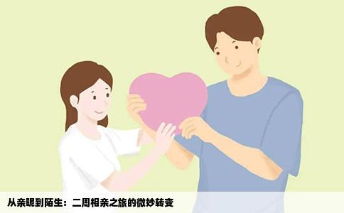 从亲昵到陌生：二周相亲之旅的微妙转变