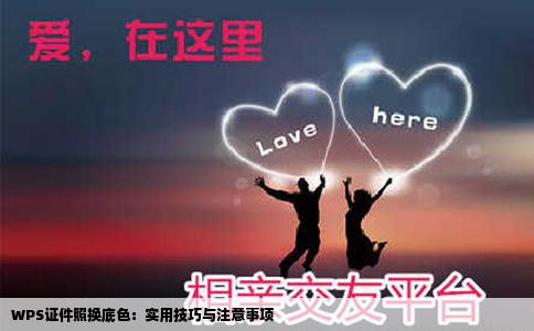 WPS证件照换底色：实用技巧与注意事项