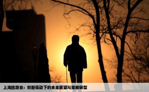 上海旅游业：创新驱动下的未来展望与策略转型